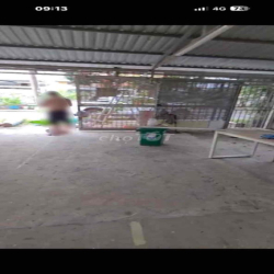 Cho thuê Trệt Lững KDC Phước Long, Quận 9