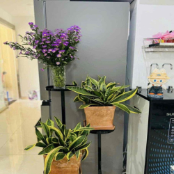 CHO THUÊ CHUNG CƯ 2PN 2WC KHU CITYLAND PARK HILLS GÒ VẤP 15tr