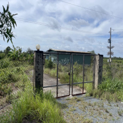 Cho thuê trang trại chăn nuôi