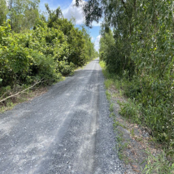 Cho thuê trang trại chăn nuôi