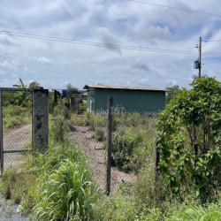 Cho thuê trang trại chăn nuôi