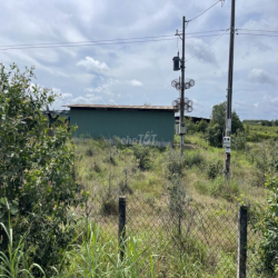 Cho thuê trang trại chăn nuôi