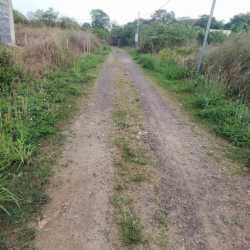 CHO THUÊ DÀI HẠN ĐẤT NỀN 450M2 CHÍNH CHỦ