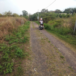 CHO THUÊ DÀI HẠN ĐẤT NỀN 450M2 CHÍNH CHỦ