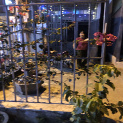 mình cho thuê nhà nguyên căn 2 lẩu