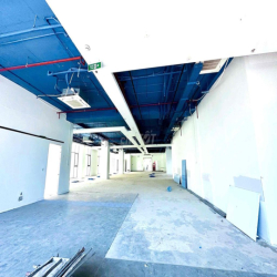 [Cho Thuê]  Toà Nhà Mới Xây 100%  Nguyễn Thị Thập!!!! (Gần lottle Q7)