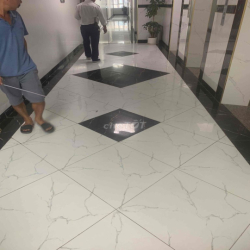 cho thuê căn hộ cc ecohom1