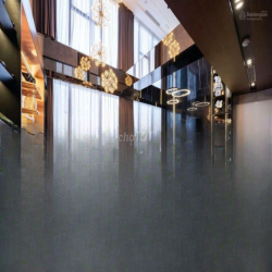 Cho thuê căn hộ 1-4PN Vinhomes độc quyền