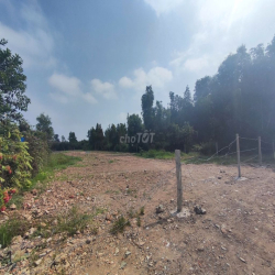 Chính chủ cho thuê 21x97m 1/ TL10 Cách TL10 700m