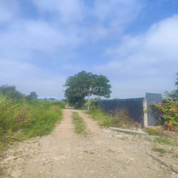 Chính chủ cho thuê 21x97m 1/ TL10 Cách TL10 700m
