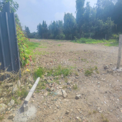 Chính chủ cho thuê 21x97m 1/ TL10 Cách TL10 700m