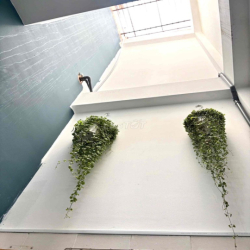 CHO THUÊ CHDV 1PN BAN CÔNG NGAY CÔ GIANG PHAN XÍCH LONG