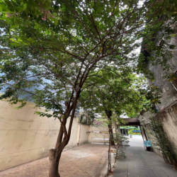 Biệt thự sân vườn rộng 17x50m, 2 lầu giá chỉ 135tr/ tháng gần CV lê Vă