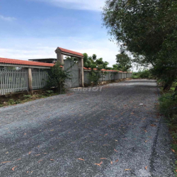 cho thuê vườn 7000m2 có 2 căn nhà cấp 4 đường  xe tải thoải mái
