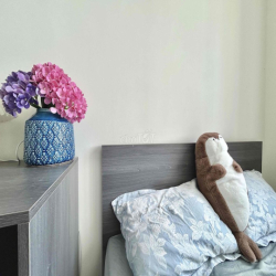 1 Phòng ngủ ban công đủ nội thất ngay chung cư Đức Khải