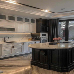 Vip! Cho thuê biệt thự song lập Phú Mỹ hưng (5PN - thang máy vip) nội
